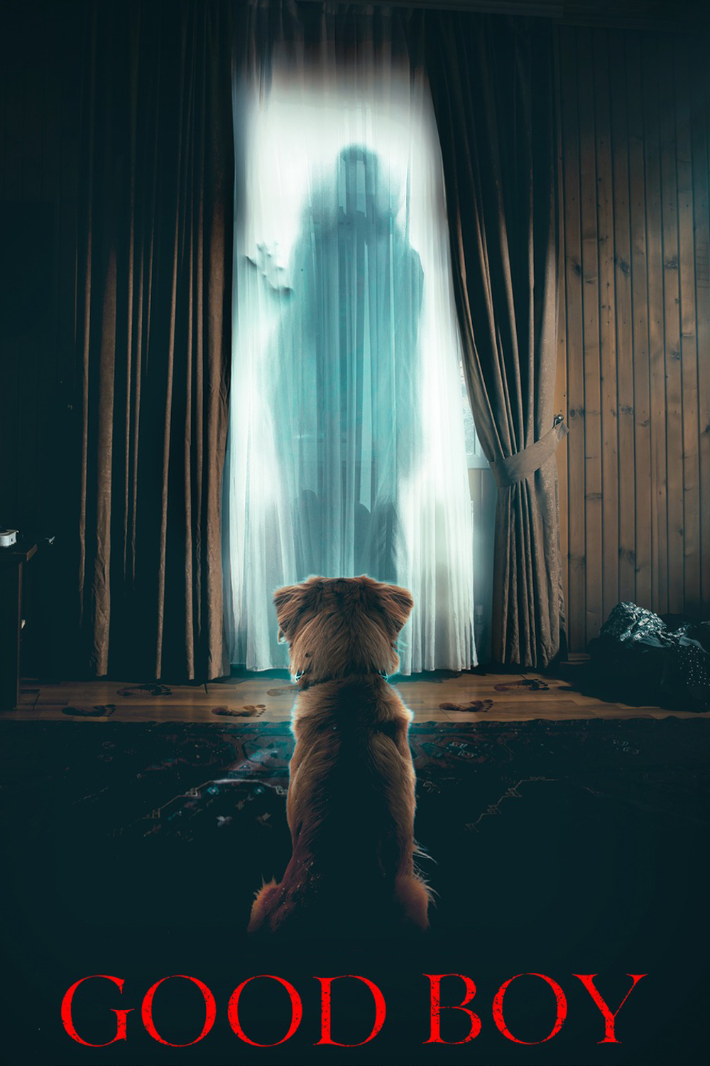 Good Boy (2025) [469651] (A1767019749) [[Movies]] --Plex--